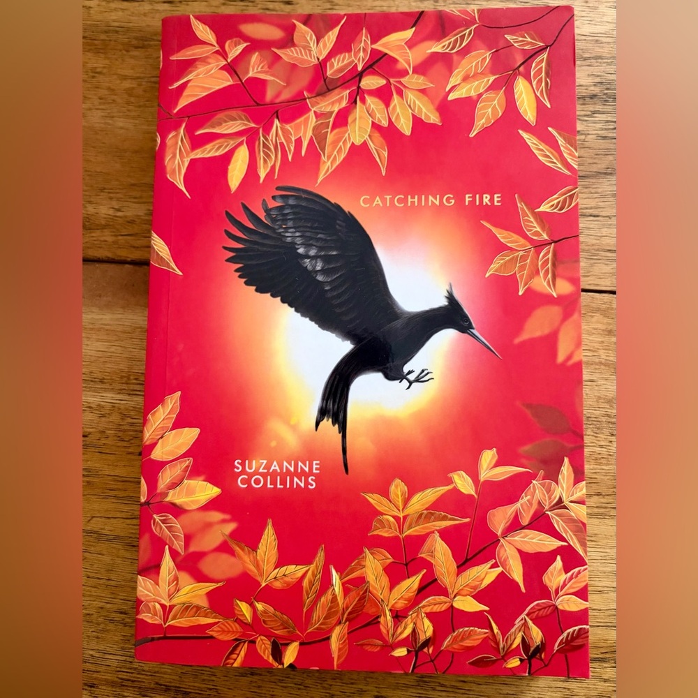Catching Fire (Deluxe Edition) Book